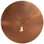 LLWOM Gold Necklace for Women, Dain