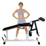 Deltech Fitness Leg Extension / Leg Curl Machine