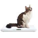 Spritool New Model High accuracy Multi-Functional Pets Scale Suitable for Small and Medium-Sized Pets or Postal Under 30KG Pet Scale dog scale Cat scale