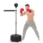 Veocore Boxing Bar with Punching Ba