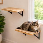 PELUOMOZ 2PCS Cat Wall Shelves with Scratching Mat, 16.6x9.7 Inch Solid Pine Wood Wall Mounted Kitten Floating Shelf, Window Perch Hammock, Cats Wall Furniture for Cats Sleeping, Playing, Climbing