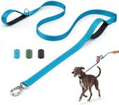 Heavy Duty Dog Leash with Easy Lock Metal Clip, Reflective, Padded Handle - Durable 4ft 8ft Walking Training Leash for Large, Medium, Small Dogs, Jogging, Hiking, and Outdoor Use (Blue, 6 FT)