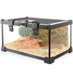 NEPTONION Mini Reptile Glass Terrarium Vivarium 12'' x 8'' x 6'' Full View Tank Small Amphibians Glass Habitat Cage with Feeding Slot & Box Lock Buckle