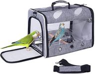 Interfashioner® Bird Carrier for Travel, Clear Bird Carrier with Metal Tray and Standing Perch for Parakeet Parrot Budgies Cockatiel(Grey)