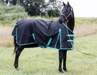 TECH EQUESTRIAN Horse Winter Blanket 300GSM 600 Denier (Waterproof/Breathable/Snow Proof) Horse Turnout Blanket | Horse Heavy Winter Blanket (76, Black_with_Turquoise_Trims)