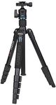 Benro iTrip IT25 Aluminium Tripod Kit (Black)