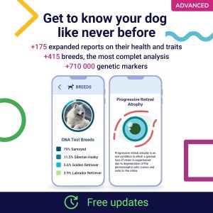 Koko Genetics Dog DNA Test – Breed Identification & Health Screening