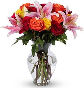 Benchmark Bouquets, Big Blooms, Glass Vase Included, Gift Fresh Flowers for Birthday, Anniversary, Get Well, Sympathy, Congratulations, Thank You, Just Because