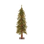 National Tree 4 Foot Hickory Cedar Tree with 100 Clear Lights (CED7-40LO-S)