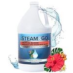 Steam and Go Demineralized Water - 