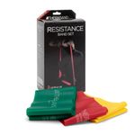 TheraBand Resistance Bands Set, Non-Latex Elastic Band for Upper/Lower Body Exercise, Strength Training Without Weights