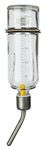 Trixie Small Animal Glass Water Bottle, 250 ml, Pack of 1
