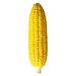 funnysquee Corn Squishies Stress Relief Novelty Toy Soft Scented Simulation Corns Squeeze Toys Cute Birthday Gift for Kids (Corn)