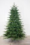 Holiday Stuff 9 Foot European Balsa