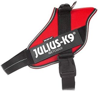 Julius-K9 