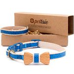 Cat Collar Bow Tie with Breakaway and Friendship Bracelet for You Blue