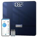 anyloop Smart Scale for Body Weight