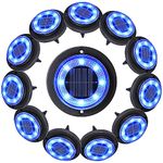 Flacchi Solar Ground Lights - IP68 Waterproof 12 Pack Dual-Purpose Solar Lights Outdoor Garden, Solar Powered Disk Lights Outdoor Landscape Lights for Patio Yard Pathway Walkway Driveway (Blue)