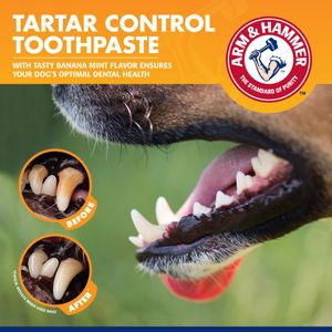 Arm & Hammer Dog Dental Kit – Toothbrush and Enzymatic Toothpaste