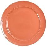 Pottery Barn Cambria Persimmon Dinner Plate