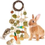 VESPRO Bunny Chew Toys, Rabbit Cage