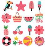 WharFlag 16PCS Croc Charms Decoration, Summer Hawaii Beach Shoe Charms Accessories for Party Favors Gifts Girls Kids Women