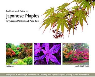 An Illustrated Guide to Japanese Maples for Garden Planting and Patio Pots