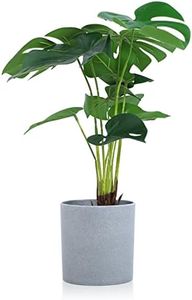 Meneco Small Artificial Plant Potted - Faux Plant Indoor Plant Artificial Potted Plant Decor for Home and Office (16", Monstera Leaf)