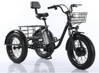 CHONGHAN Electric Tricycle for Adul