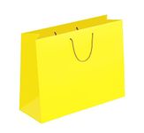 Plain Yellow Paper Bags for Return Gifts | Pack of 10, Size 17x13x4 inch by Apex | Perfect for Birthdays, Parties, Baby Shower, Wedding, Diwali, Raksha Bandhan, and Celebrations