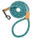 Mile High Life Leather Tailor Handle Mountain Climbing Dog Rope Leash with Heavy Duty Metal Sturdy Clasp (Turquoise Green, 48 Inch (Pack of 1))