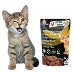 WiggleBoo Chicken & Banana Cat Treat | Protein Rich | Fiber Rich | Crunchy Healthy Snacks (45 Grm)