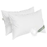 East Coast Bedding - Queen Size Pillow Set of 2 - Medium Luxury Hotel Pillow for a Luxury Bed - 100% European Goose Down Pillow 800FP - Featherless Pillow for Sleeping