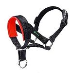 ILEPARK Dog Head Collar with Padded Fabric, Head Harness for Dogs, Anti pulling Head Halter Collar, Adjustable and Easily Control (S,Red)