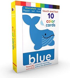 Chronicle Books TouchWords: Color Cards