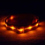 BLAZIN Brightest Light Up Dog Collars - The Original LED Dog Collar with 1,000 Feet of Visibility - USB Rechargeable Waterproof Dog Collar Light - Dog Lights for Night Walking - USA Brand