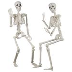 2-Pack 36-Inch Skeleton Halloween Decoration, 3ft Posable Halloween Skeleton Decor with Movable Joints for Lawn, Haunted House, Graveyard, Trunk or Treat, Lifelike Skeleton Model