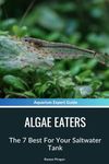 Saltwater Algae Eaters