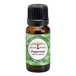 All Naturals Peppermint Essential Oil (UP, India) 100% Pure with Strong Lasting Aroma to keep cars rats and insects free | For Hair Growth & Pain Relief - 15 mL