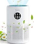 Air Purifiers for Home Pets Large R