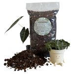 HydraGarden Houseplant Soilless Potting Mix for Aroid Tropical Plants - Extra Chunky, High Drainage, Peat Free & Enriched with Silica - LECA, Charcoal, Coco Chips, Worm Castings & Orchid Bark - 7L