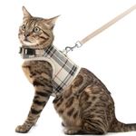 PUPTECK Soft Mesh Cat Vest Harness and Leash Set Puppy Padded Pet Harnesses Escape Proof for Cats Small Dogs Rabbits Bunny, Plaid Beige, XL