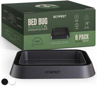 Bed Bug In
