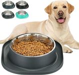 Stainless Steel Dog Bowl with Anti-