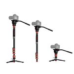 IFOOTAGE Cobra 3 Monopod with Fluid Head Mount C180F-P+K5S,Carbon Fiber Monopod for Camera,DSLR,Minipod Base-P Pedal Lock Design Tripod,Payload up to 17.6lbs/8KG,Max. Height 71"/180cm