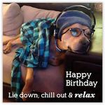 Male Birthday Card for Him - Funny/Humorous Dog Design - Lie Down, Chill Out & Relax - Made in the UK - Eco-Friendly