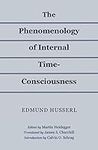 The Phenomenology of Internal Time-