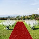 Red Carpet Runners for Party 4ft x 20 ft Wedding Aisle Runners Sequin Fabric Overlay for Wedding Ceremony Bridal Shower Walkway