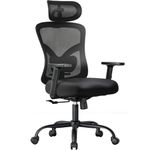 NOBLEWELL Ergonomic Office Chair, Home Office Desk Chairs with Adjustable Lumbar Support, Headrest, 2D Armrest, Computer Chair Backrest 135° Freely Rocking Relaxation, for Home Gaming, Black