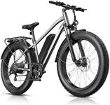 Funhang Electric Bike,1000W Peak Eb